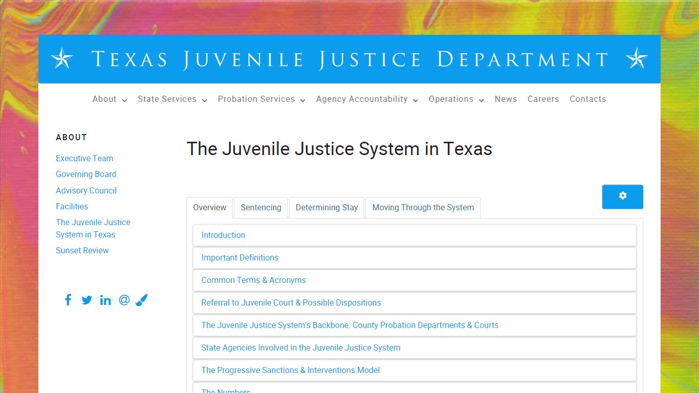 The Juvenile Justice System in Texas